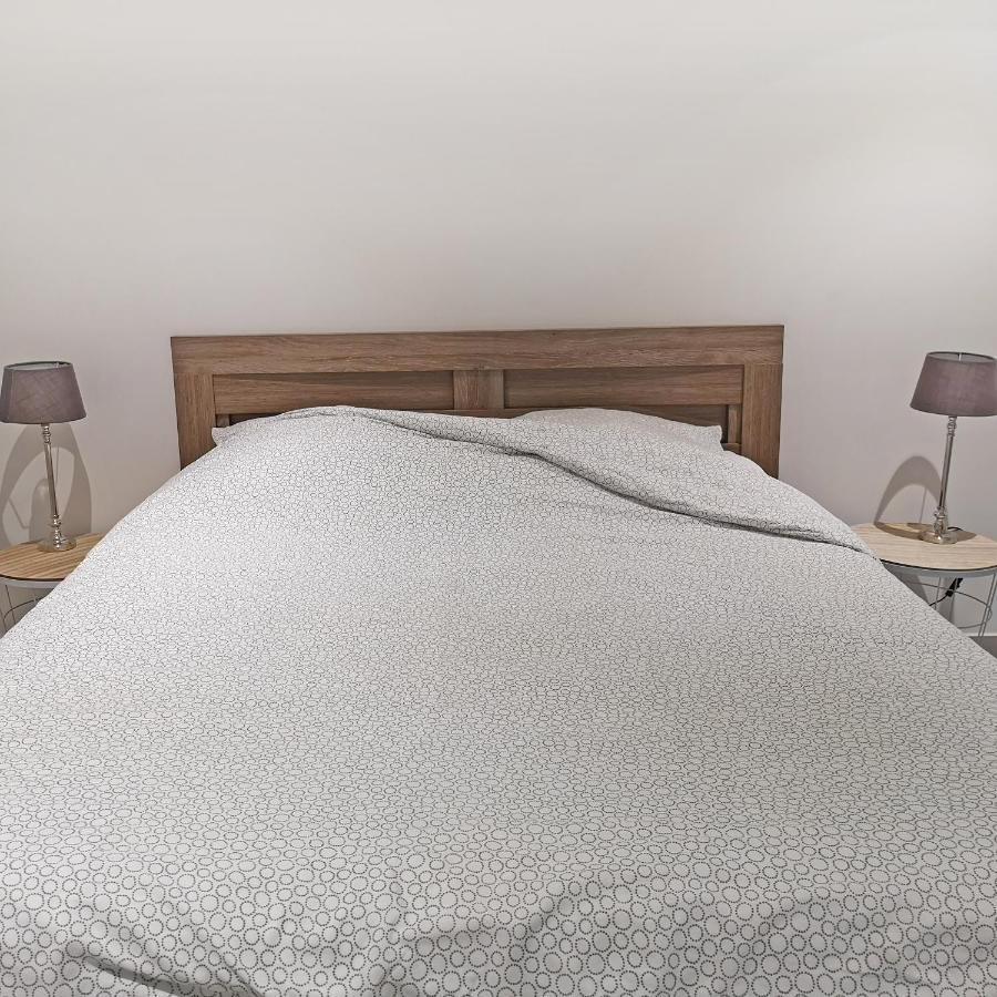 Appartement Avec Jardin - Centre Castelnaudary Ngoại thất bức ảnh