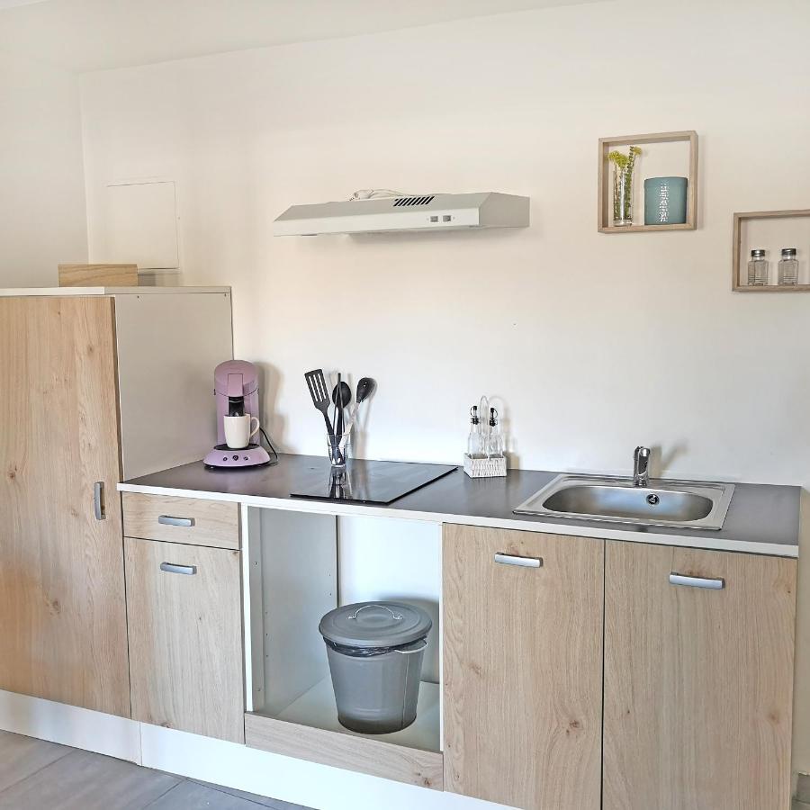 Appartement Avec Jardin - Centre Castelnaudary Ngoại thất bức ảnh